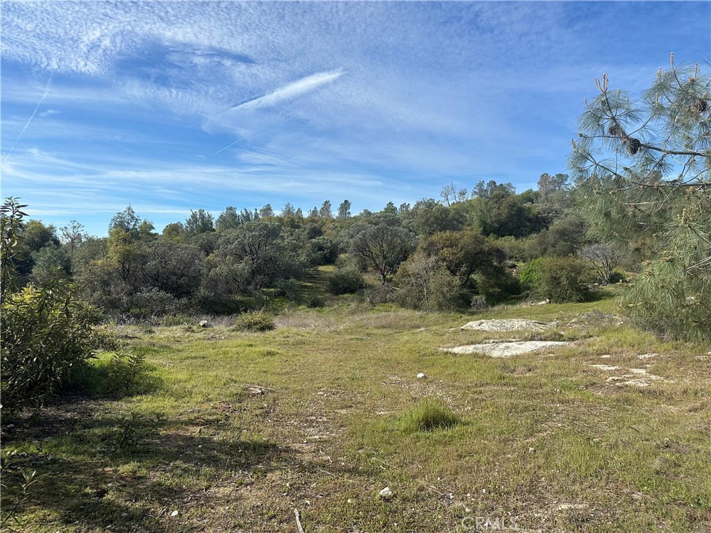 9-acres Quartz Ridge Court Coarsegold, CA 93614 - Photo 4 of 14