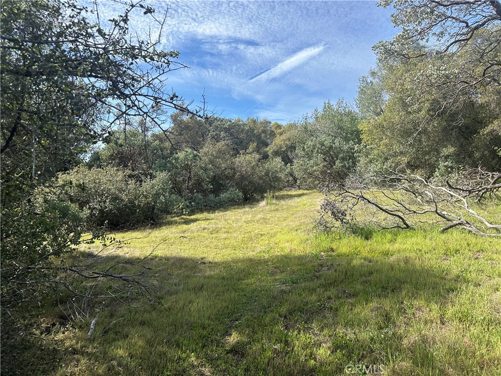 9-acres Quartz Ridge Court Coarsegold, CA 93614 - Photo 7 of 14
