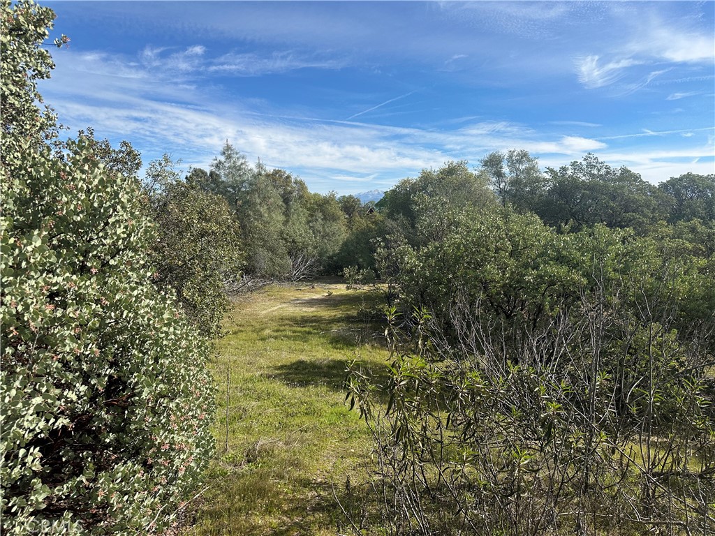 9-acres Quartz Ridge Court Coarsegold, CA 93614 - Photo 9 of 14