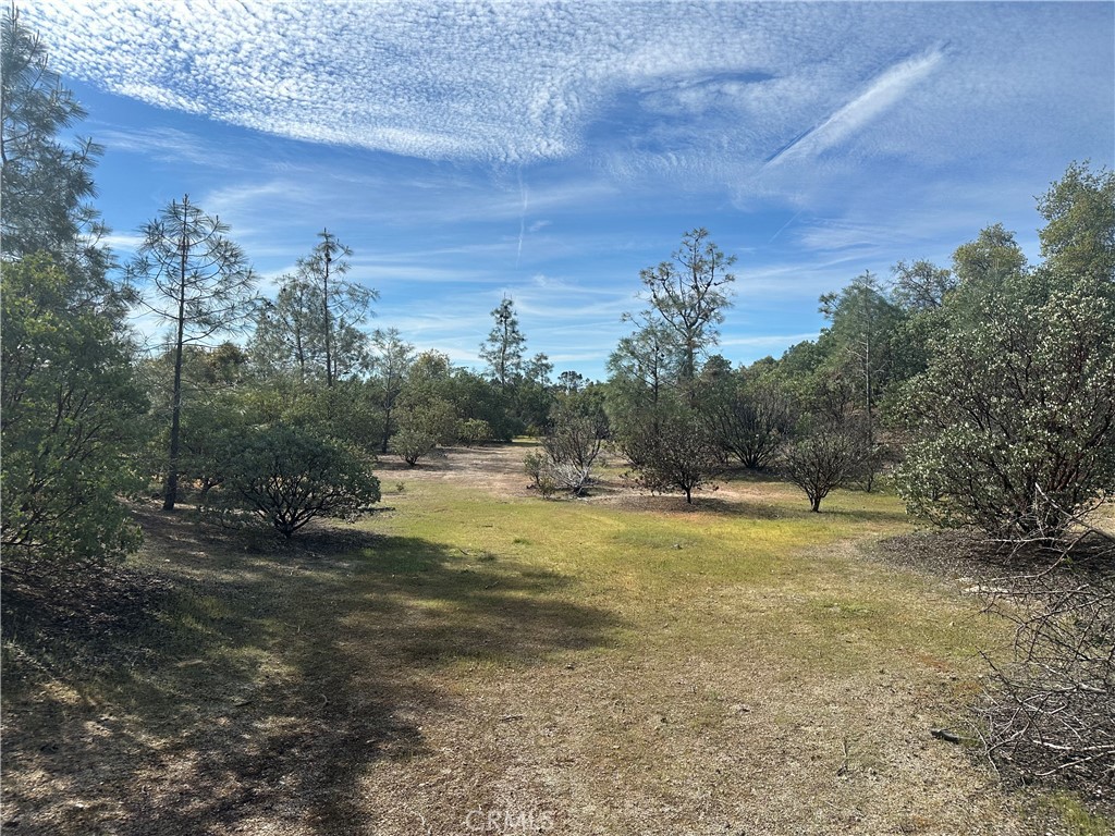 9-acres Quartz Ridge Court Coarsegold, CA 93614 - Photo 10 of 14