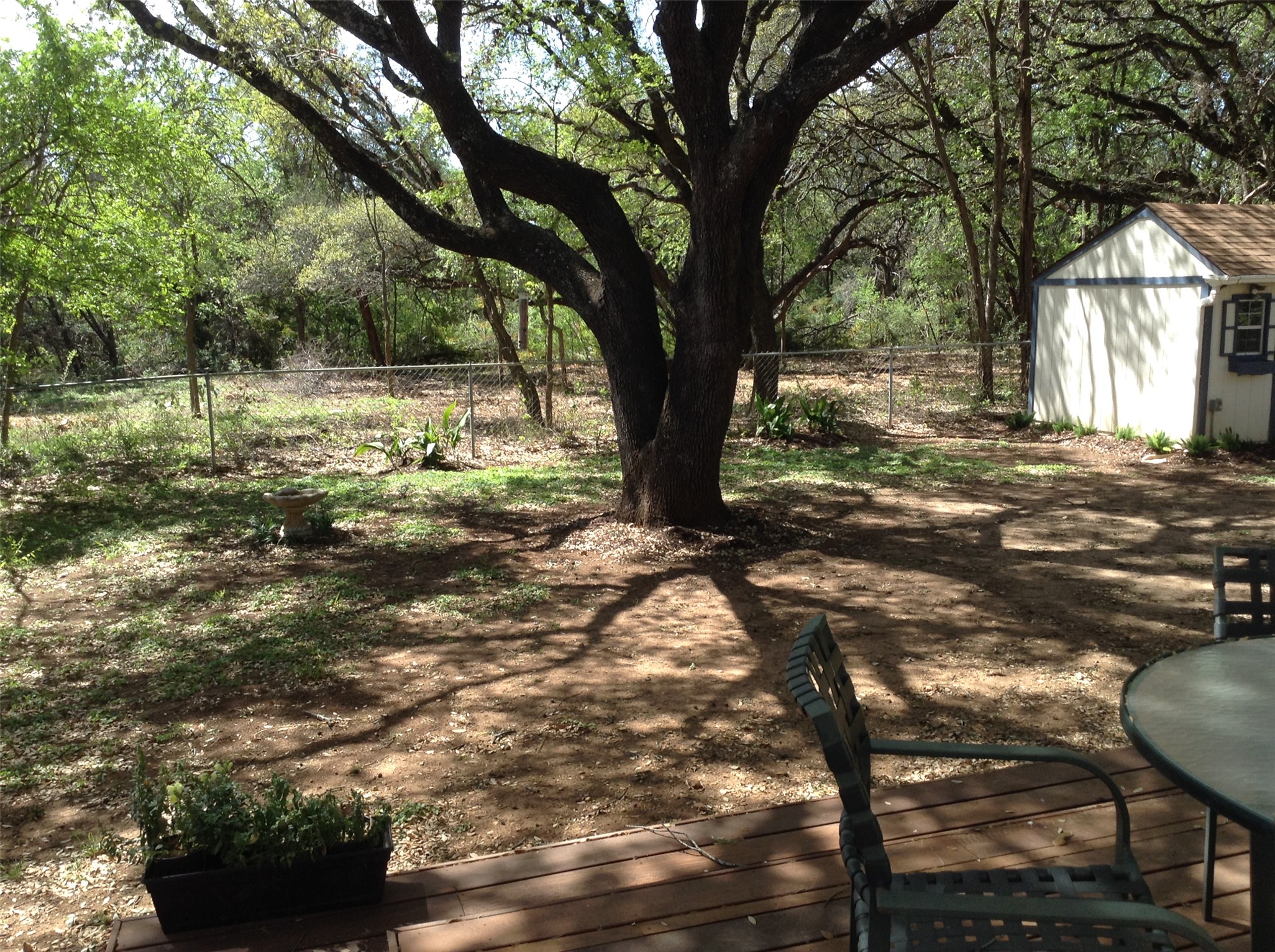 12007 Scribe Drive Austin, TX 78759 - Photo 22 of 35 a view of backyard of house