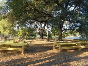 12007 Scribe Drive Austin, TX 78759 - Photo 27 of 35 a view of a yard with trees