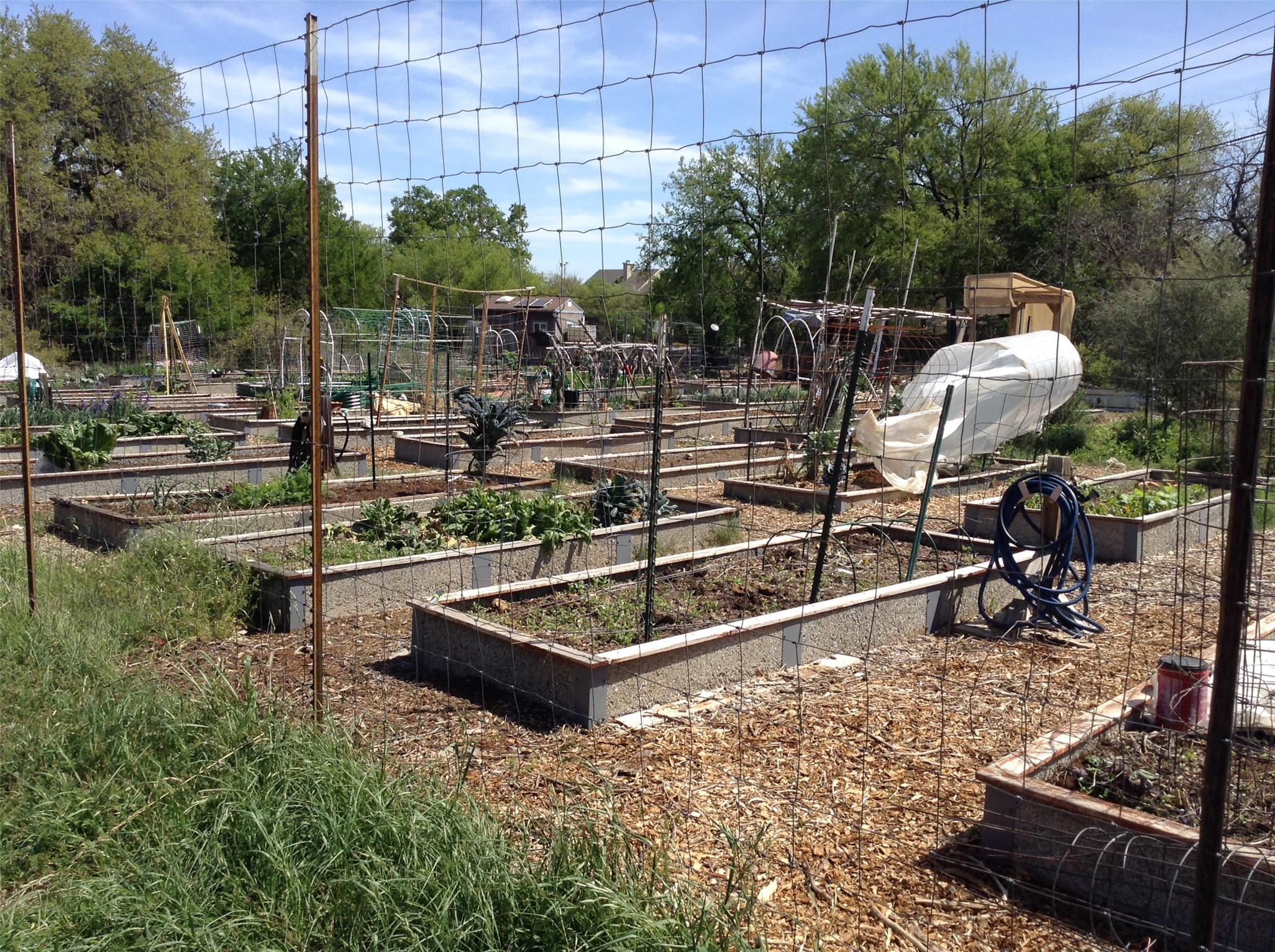 12007 Scribe Drive Austin, TX 78759 - Photo 33 of 35 a view of a backyard with sitting area