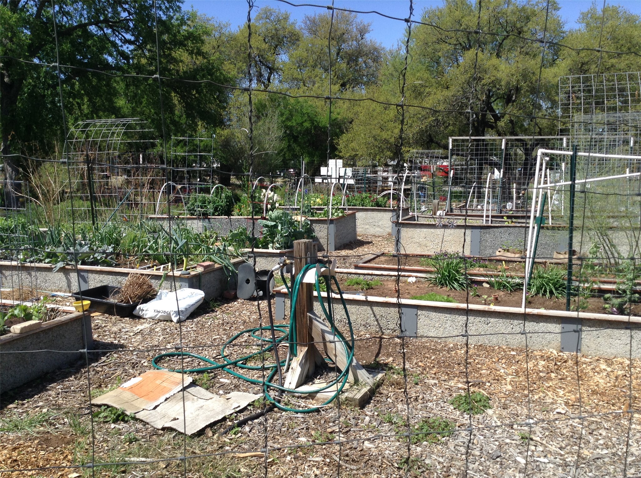 12007 Scribe Drive Austin, TX 78759 - Photo 34 of 35 a view of a swimming pool with a patio