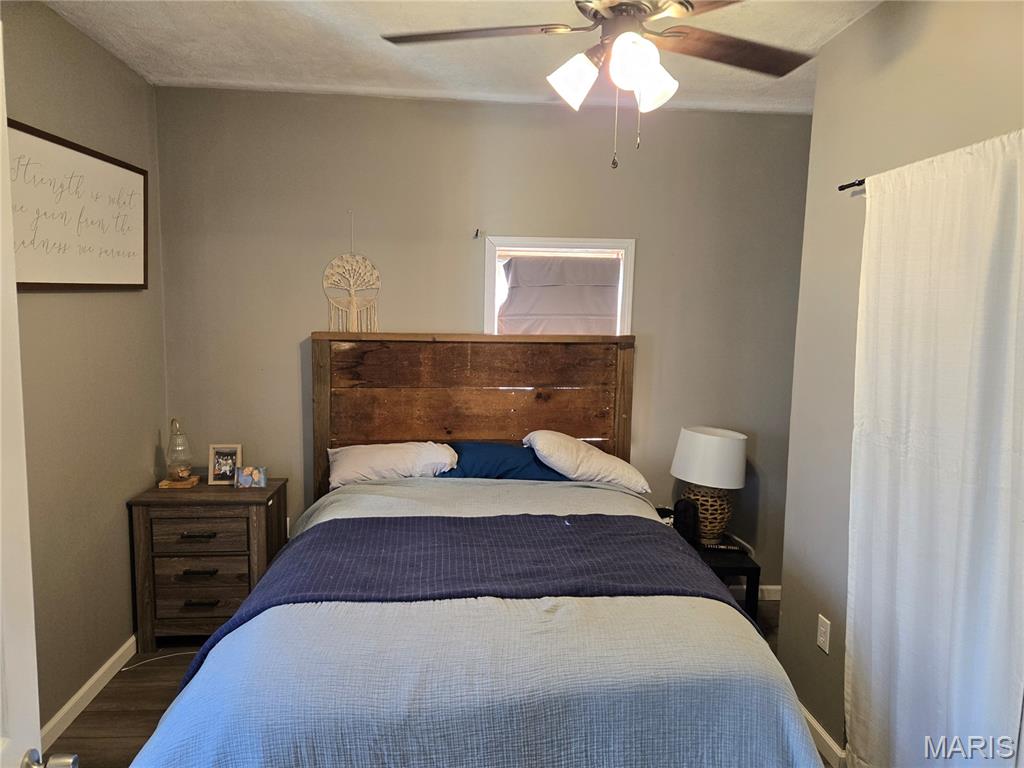 212 East Elm Street Gillespie, IL 62033 - Photo 12 of 17