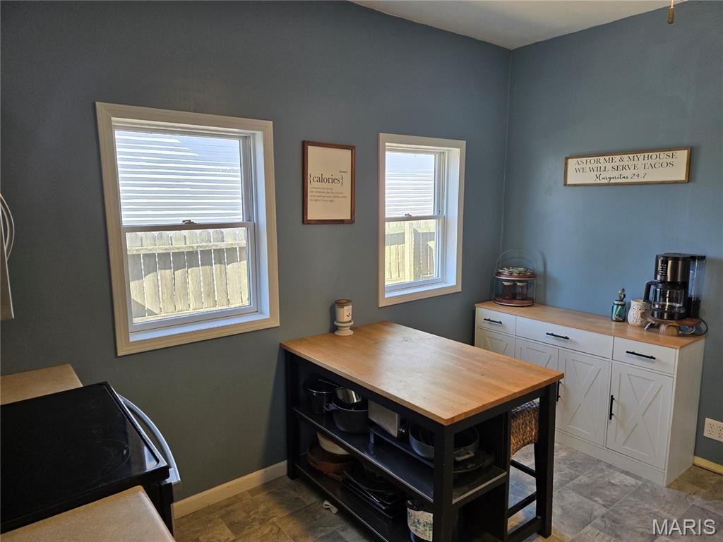 212 East Elm Street Gillespie, IL 62033 - Photo 7 of 17