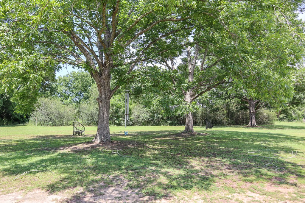 1670 Mitchell Road Hartford, AL 36344 - Photo 23 of 46