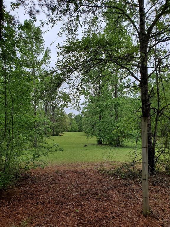 1180 Hoyt Road Boyce, LA 71409 - Photo 1 of 4 Gallery Image 1