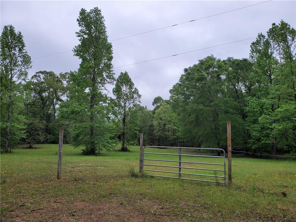 1180 Hoyt Road Boyce, LA 71409 - Photo 2 of 4 Gallery Image 2