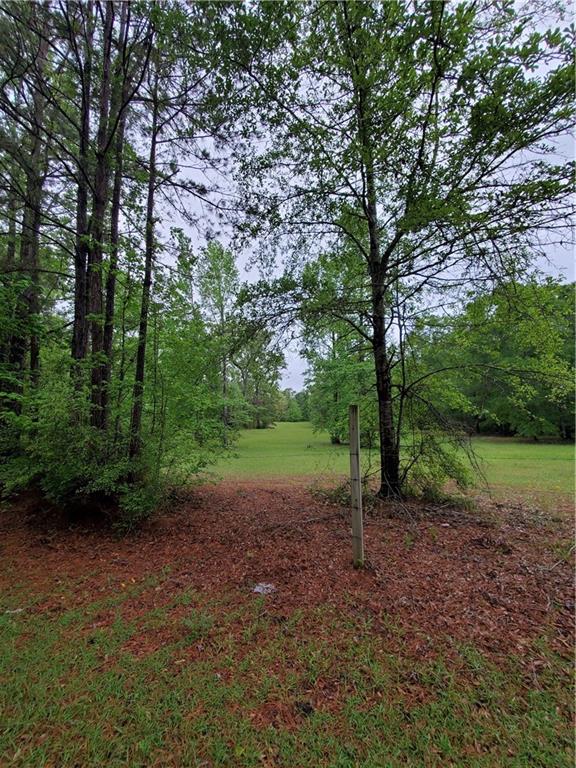 1180 Hoyt Road Boyce, LA 71409 - Photo 4 of 4 Gallery Image 4