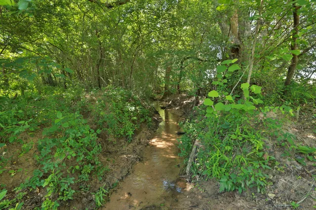 a backyard of a house with lots of trees
