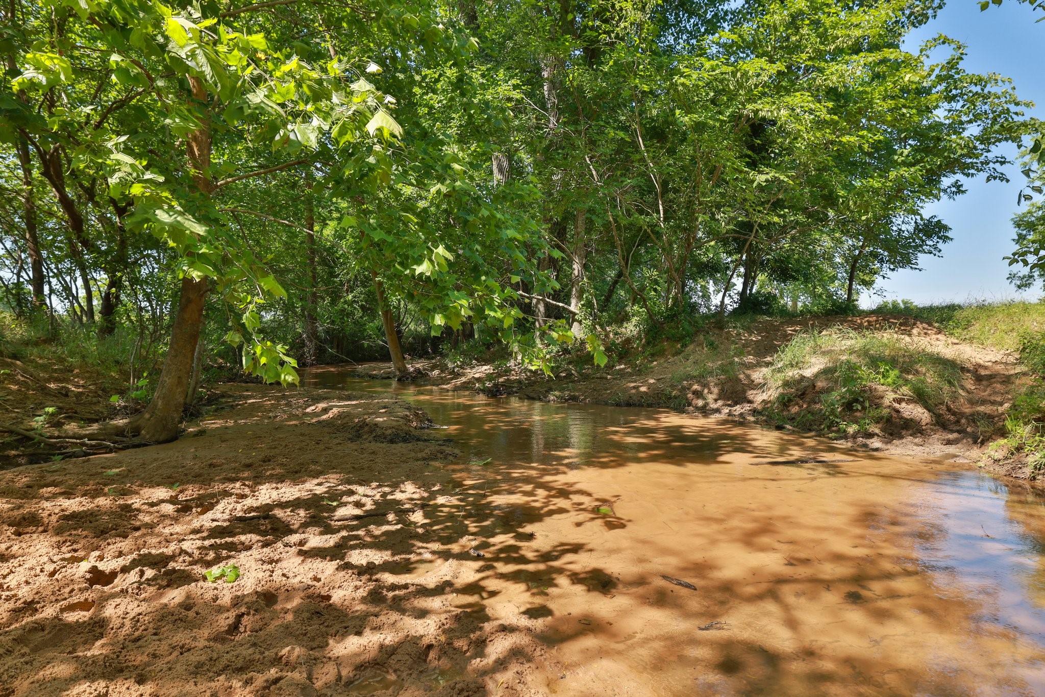 305 Rd Navasota Tx 77868 Road Navasota, TX 77868 - Photo 13 of 24 a view of a yard with a tree