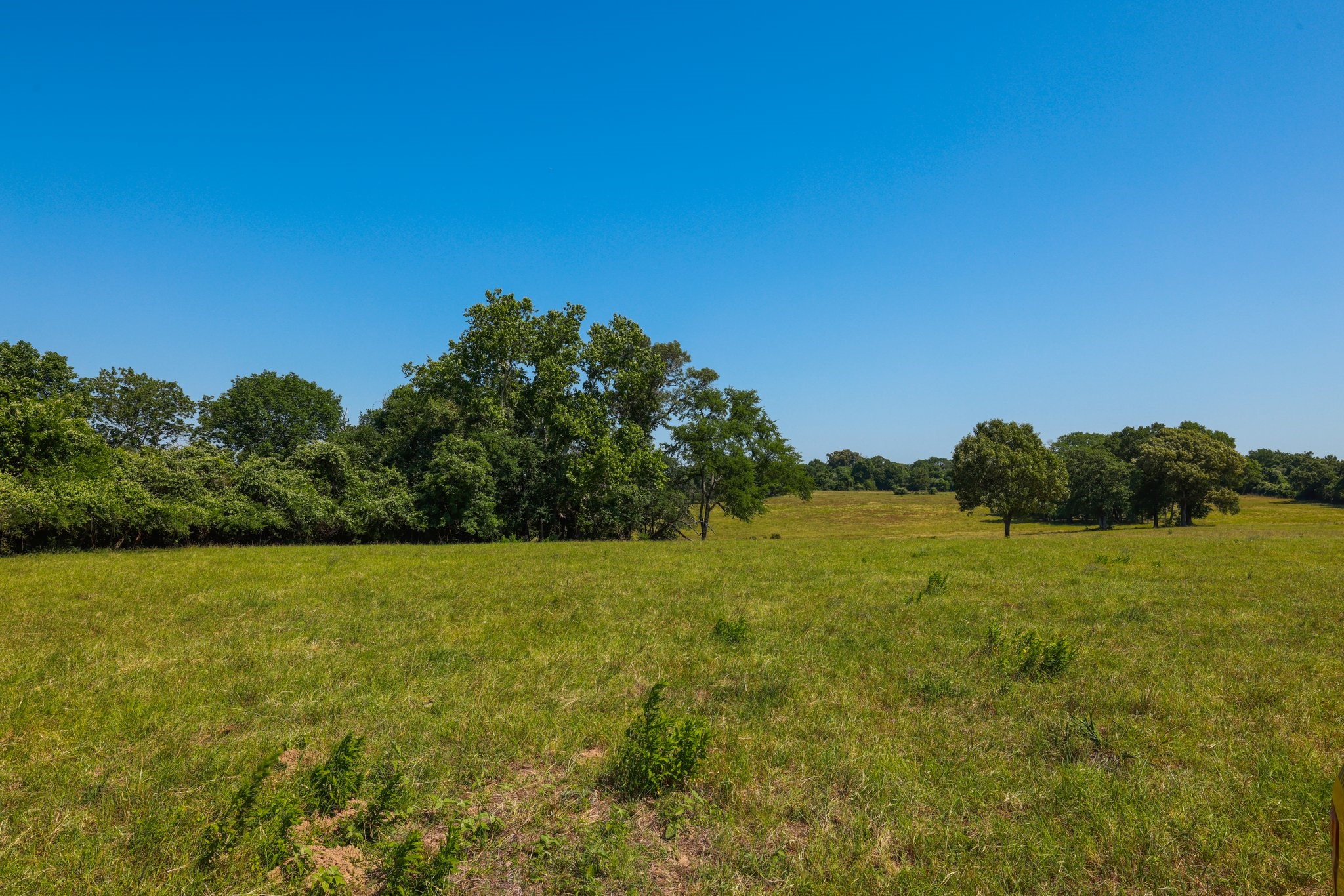 305 Rd Navasota Tx 77868 Road Navasota, TX 77868 - Photo 14 of 24 a view of an ocean from a yard