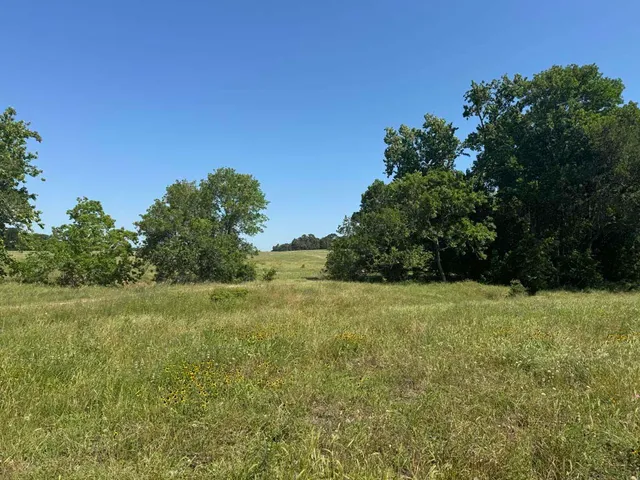 a view of a field with trees in the background