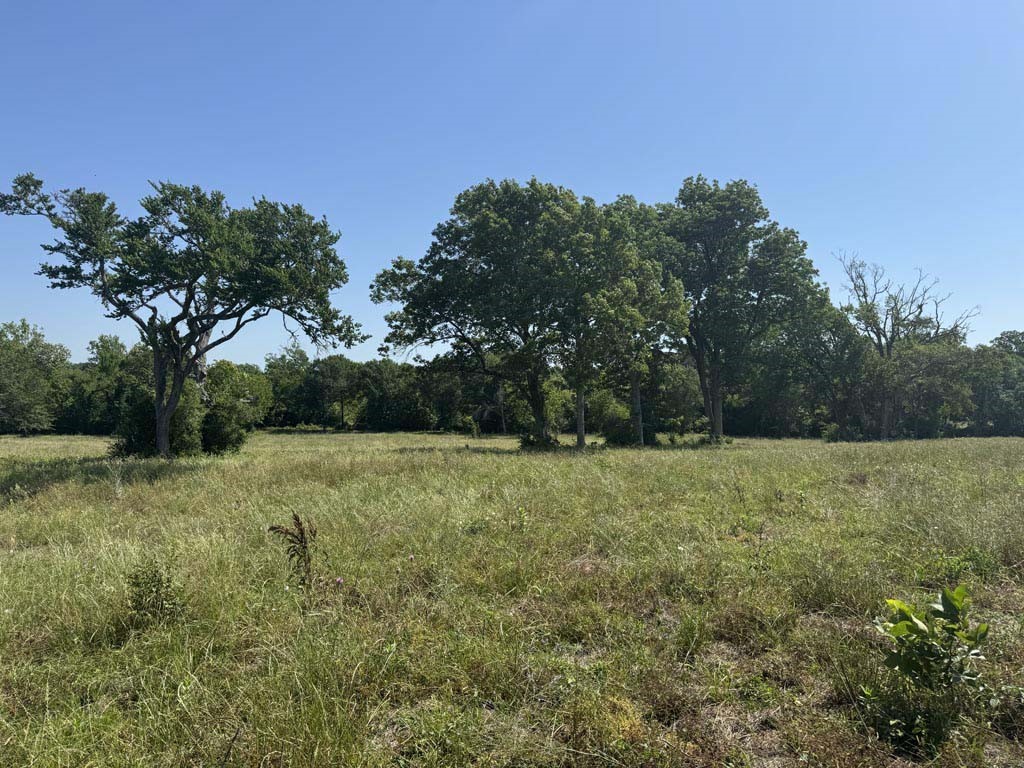 305 Rd Navasota Tx 77868 Road Navasota, TX 77868 - Photo 20 of 24 a view of outdoor space and yard