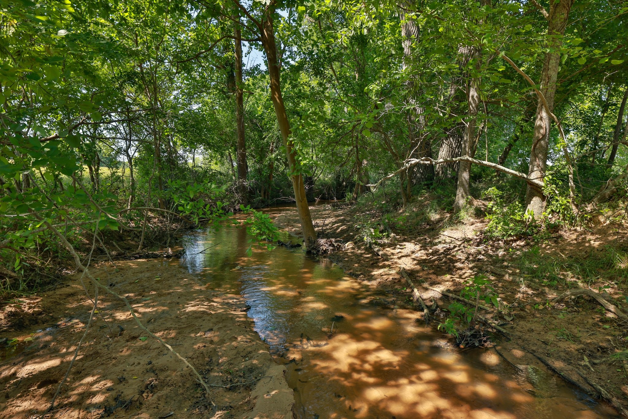 305 Rd Navasota Tx 77868 Road Navasota, TX 77868 - Photo 2 of 24 a backyard of a house with lots of green space