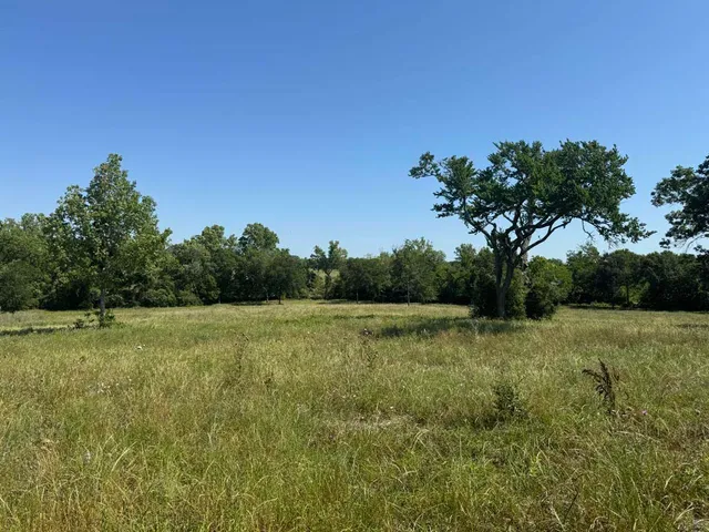 a view of field with trees in the background