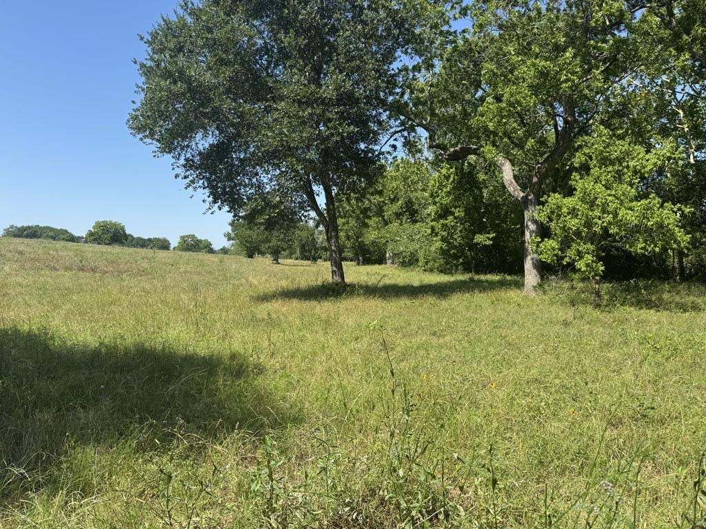 305 Rd Navasota Tx 77868 Road Navasota, TX 77868 - Photo 22 of 24 a view of outdoor space and yard