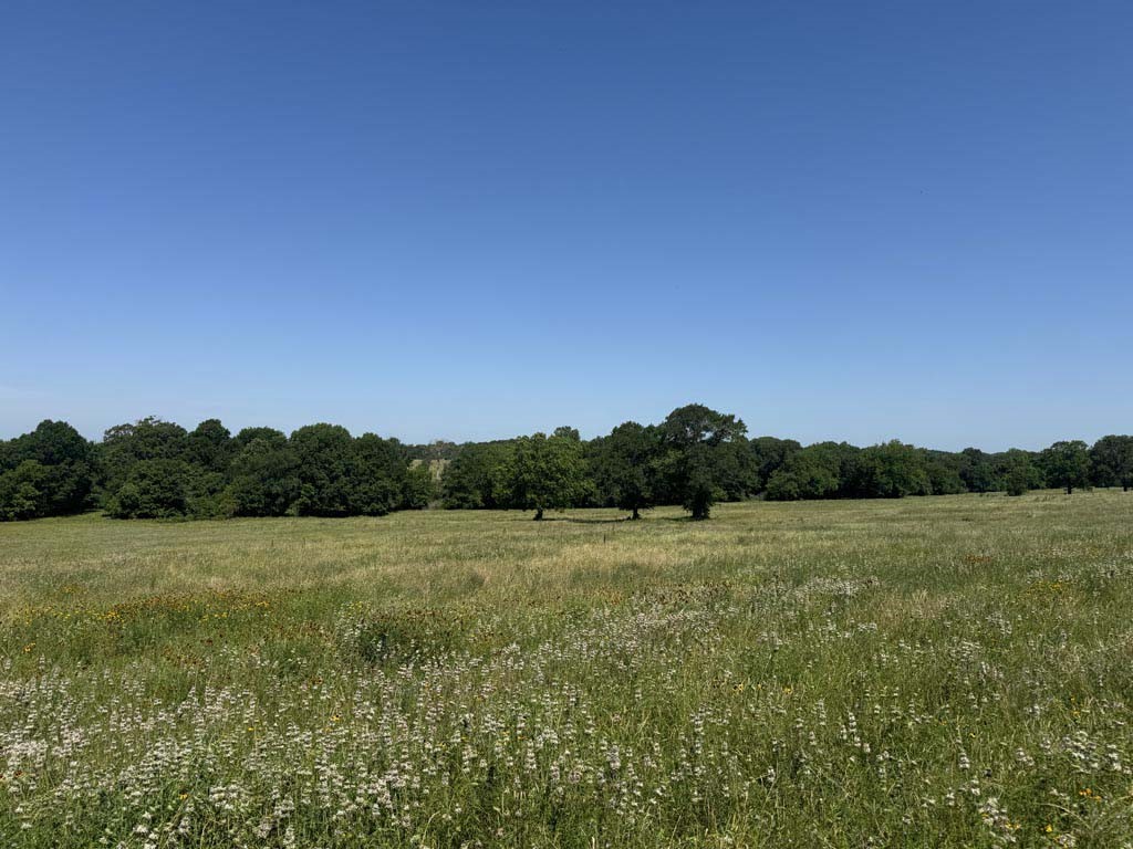 305 Rd Navasota Tx 77868 Road Navasota, TX 77868 - Photo 24 of 24 a view of a field with an ocean
