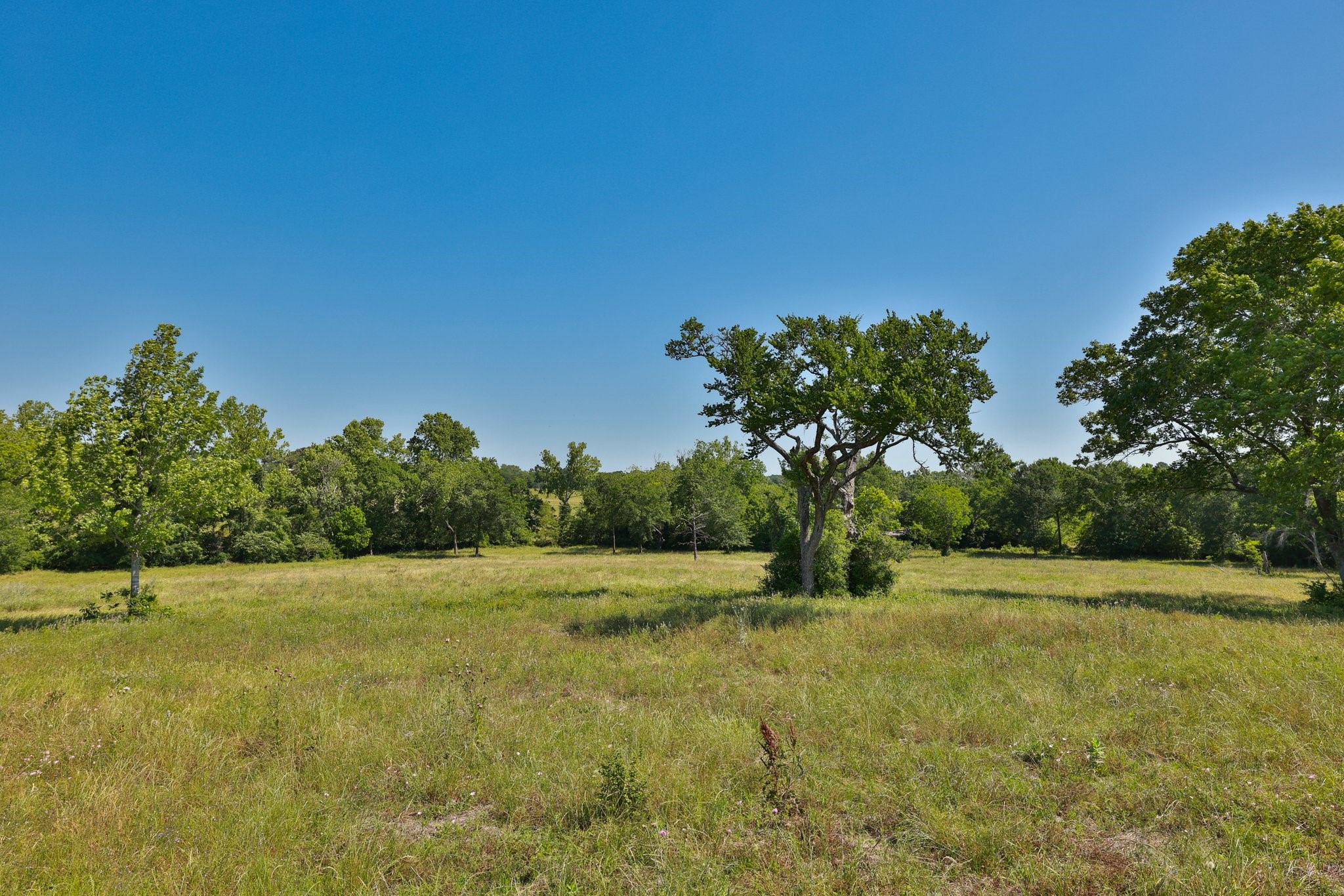 305 Rd Navasota Tx 77868 Road Navasota, TX 77868 - Photo 5 of 24 a view of a garden