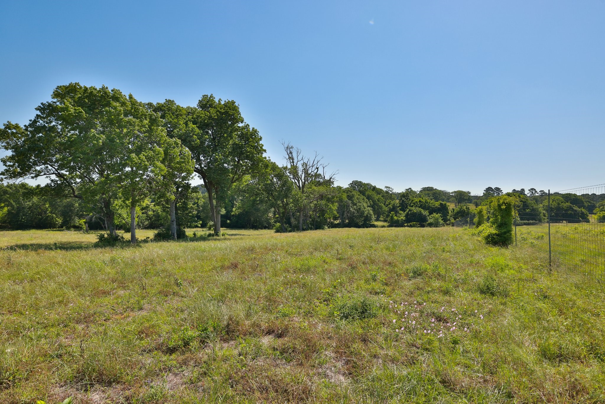 305 Rd Navasota Tx 77868 Road Navasota, TX 77868 - Photo 6 of 24 a view of open field with trees in the background
