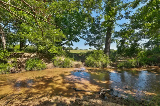 a view of water with large trees