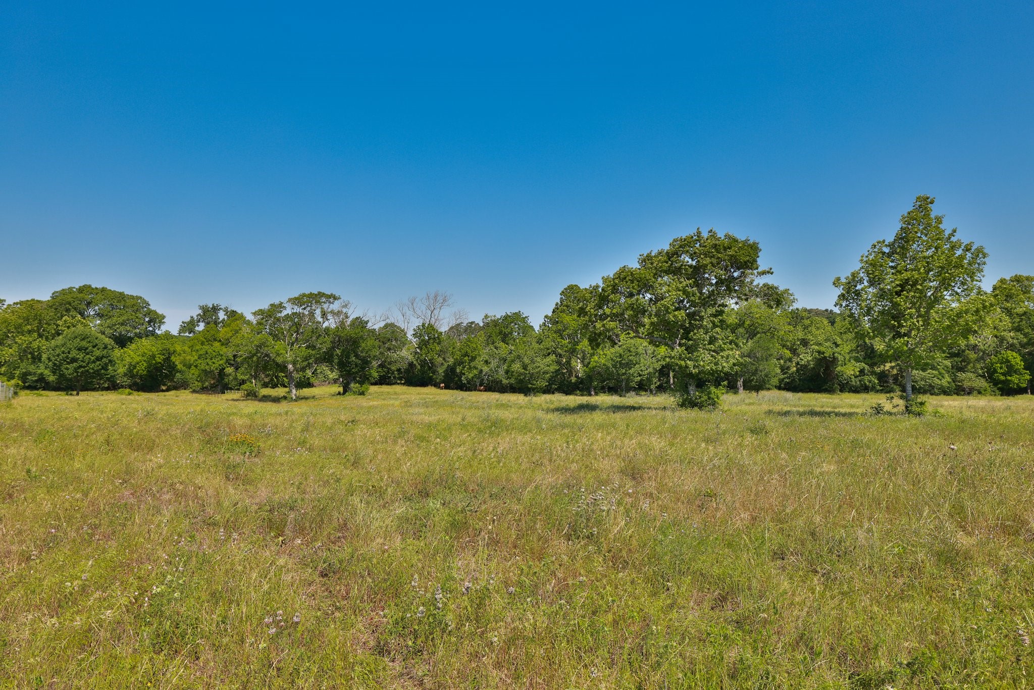 305 Rd Navasota Tx 77868 Road Navasota, TX 77868 - Photo 8 of 24 a view of outdoor space and yard