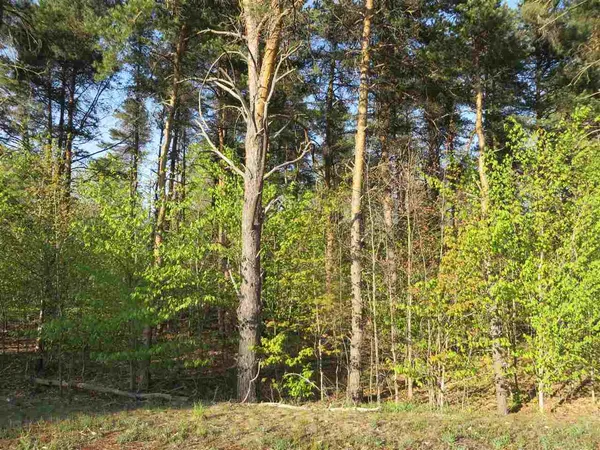 $135,000 | 20.71 Spruce Hollow Trace, Fife Lake, MI 49633