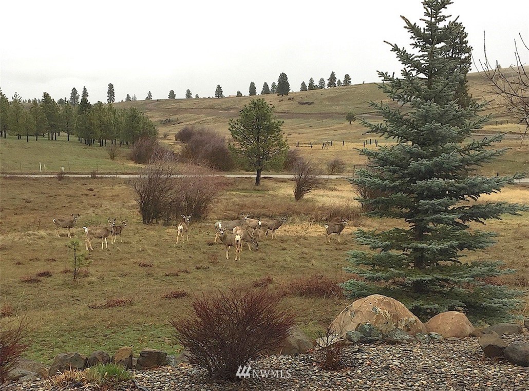 2422 Hidden Valley Road Cle Elum, WA 98922 - Photo 22 of 25 Gallery Image 22