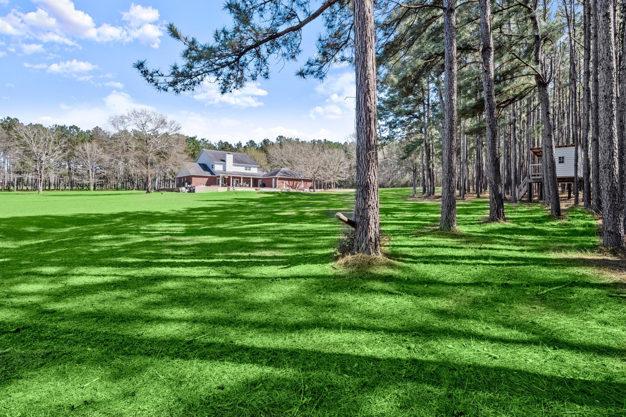 825 Walding Road Livingston, TX 77351 - Photo 6 of 50 a view of a park with large trees