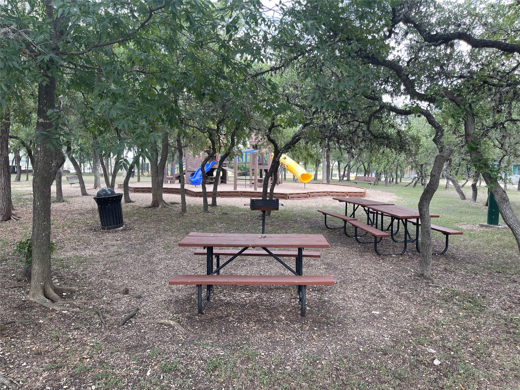 1293 Nevarez Kyle, TX 78640 - Photo 29 of 31 Have a little picnic