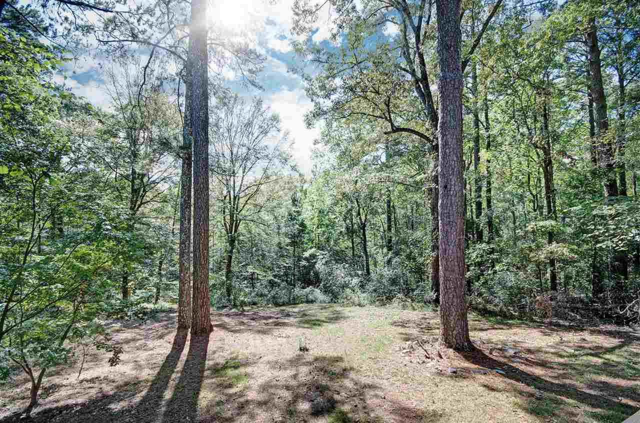 205 Hickory Ridge Drive Florence, MS 39073 - Photo 7 of 33 Photo 7