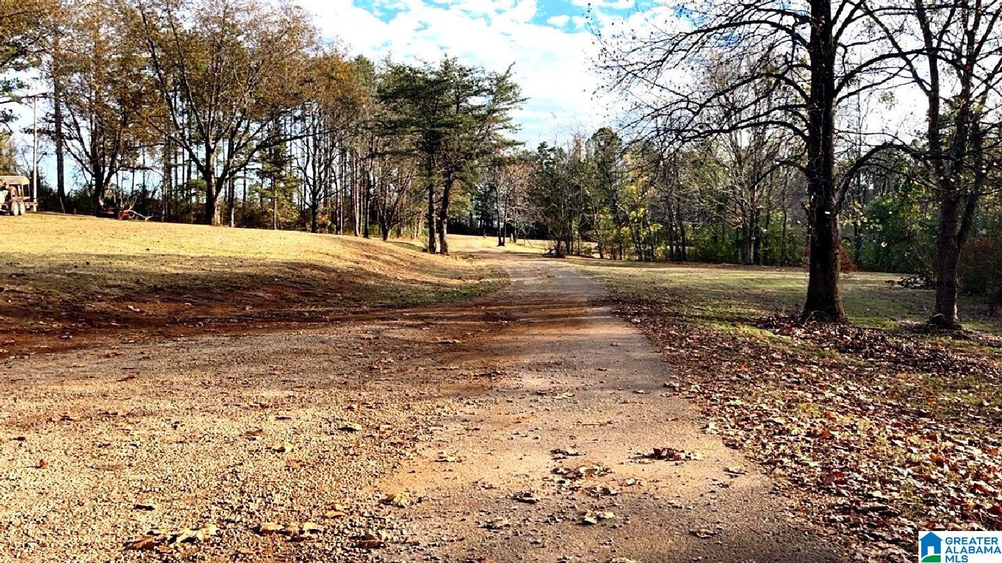 1194 Mountain View Road Ashland, AL 36251 - Photo 4 of 43