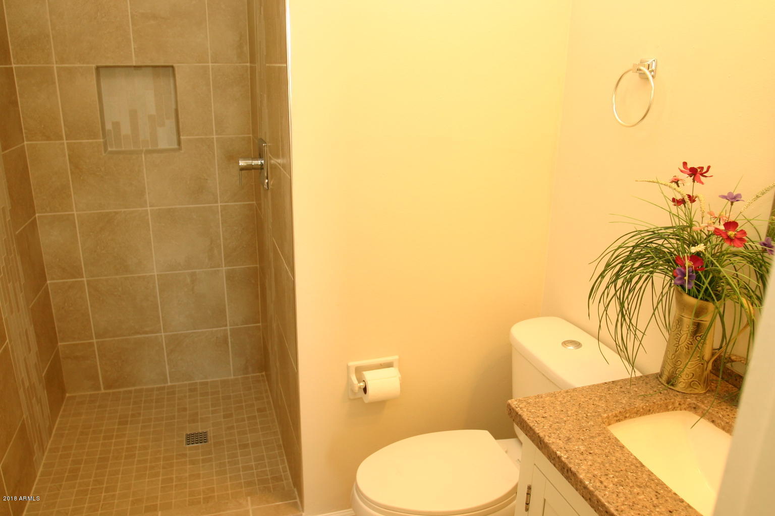 3312 East Coronado Road Phoenix, AZ 85008 - Photo 8 of 28 IMG_1066
