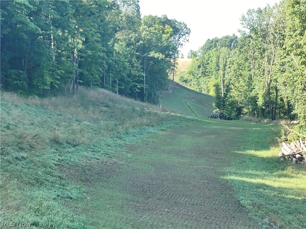 1511 Snowbird Road West Union, WV 26456 - Photo 20 of 26 Land