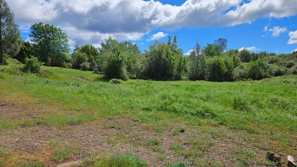 $15,000 | Lot A South Power House Road, Manton, CA 96059