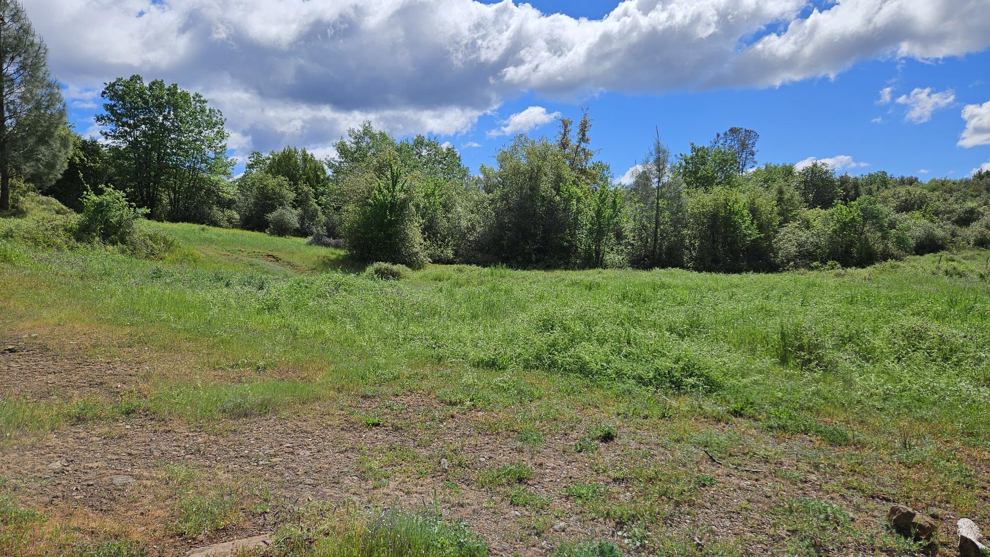Lot A South Power House Road Manton, CA 96059 - Photo 5 of 11 a view of a field of a building