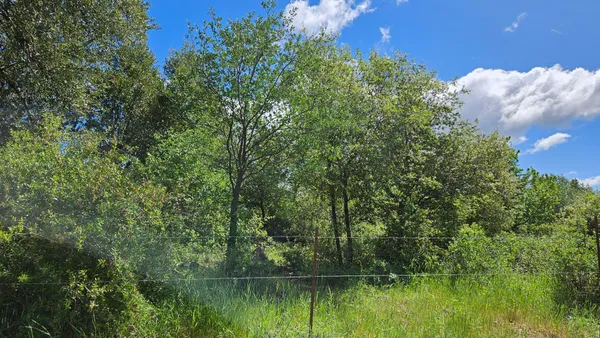 $15,000 | Lot A South Power House Road, Manton, CA 96059