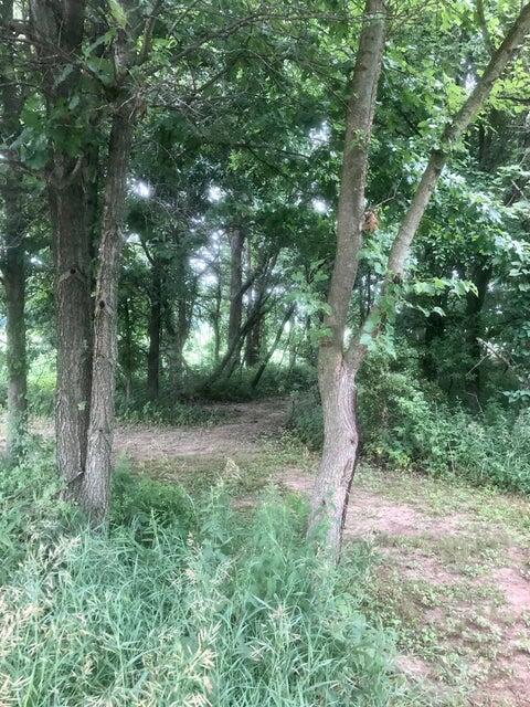 7960 East 173rd Avenue Hebron, IN 46341 - Photo 28 of 36 a view of a forest with trees in the background
