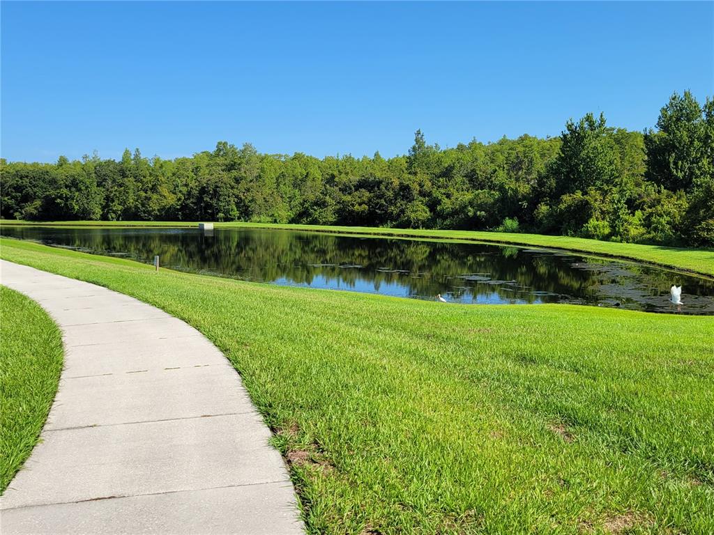 6587 Old Carriage Road Winter Garden, FL 34787 - Photo 75 of 85