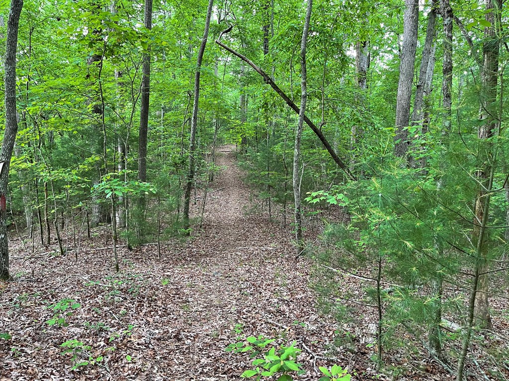 100 South Road Morganton, GA 30560 - Photo 47 of 57 Gallery Image 47