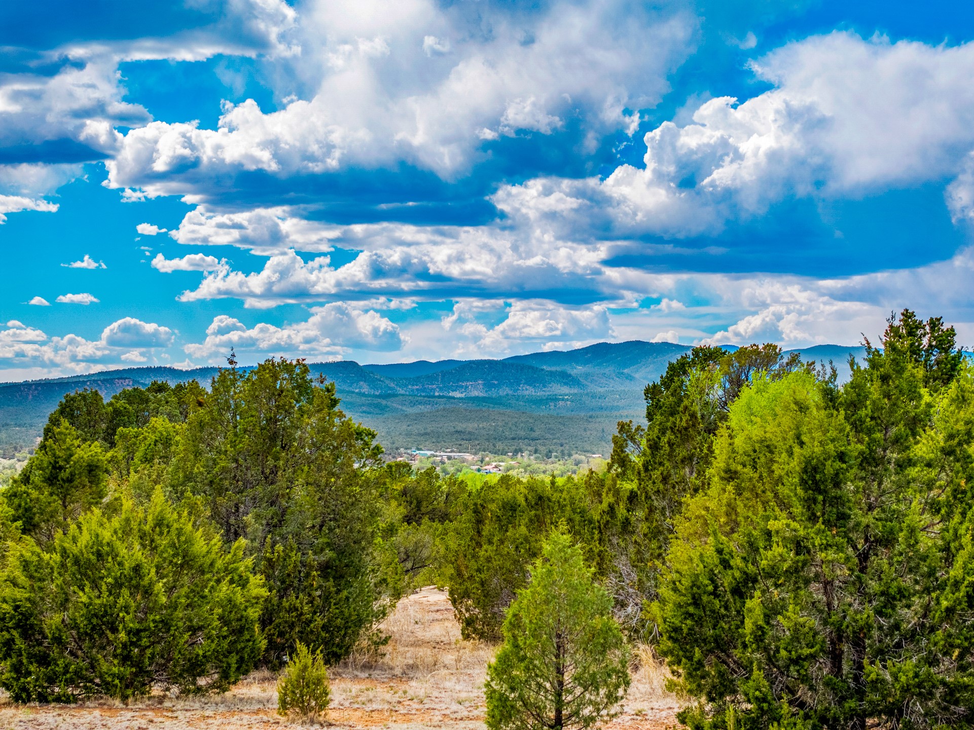 2.38-acres Old Colonias Road Pecos, NM 87552 - Photo 3 of 25