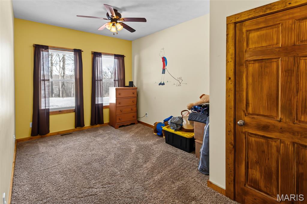 1272 Northeast 700 Avenue Roodhouse, IL 62082 - Photo 35 of 77