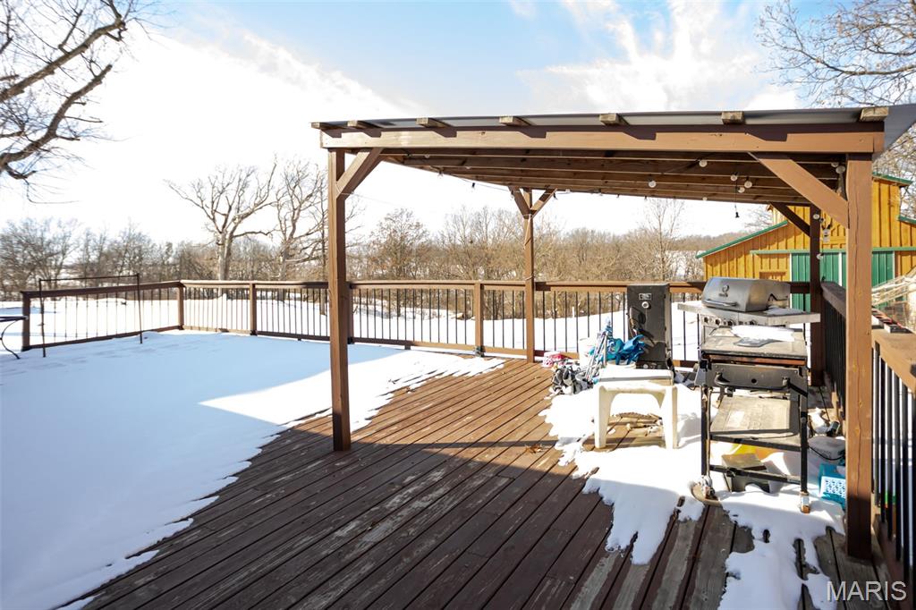 1272 Northeast 700 Avenue Roodhouse, IL 62082 - Photo 49 of 77