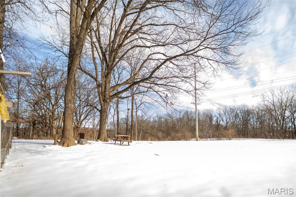 1272 Northeast 700 Avenue Roodhouse, IL 62082 - Photo 58 of 77