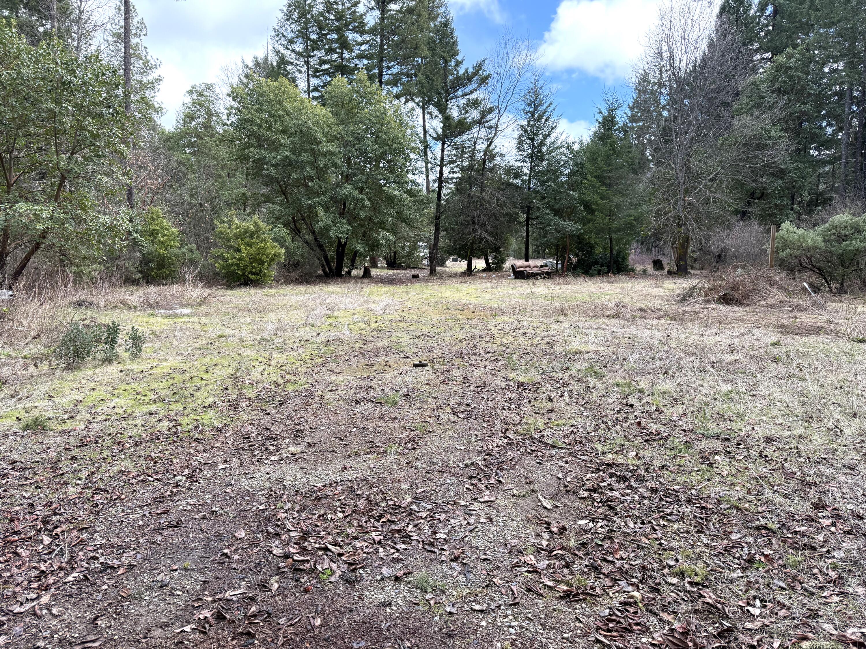 3779 Dick George Road Cave Junction, OR 97523 - Photo 1 of 8 5 level acres, in nice area.