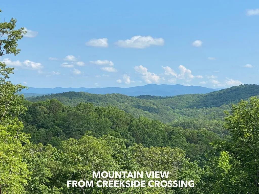 2956 Blalock Mountain Road Talking Rock, GA 30175 - Photo 62 of 65 a view of a city