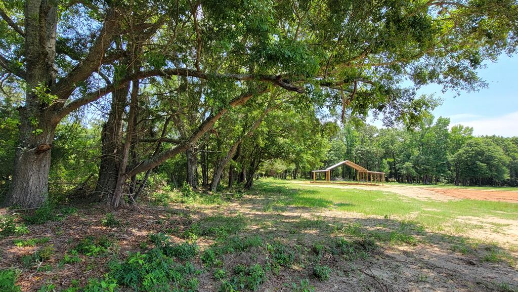 7.1-acres Cobb Road Dothan, AL 36301 - Photo 4 of 55