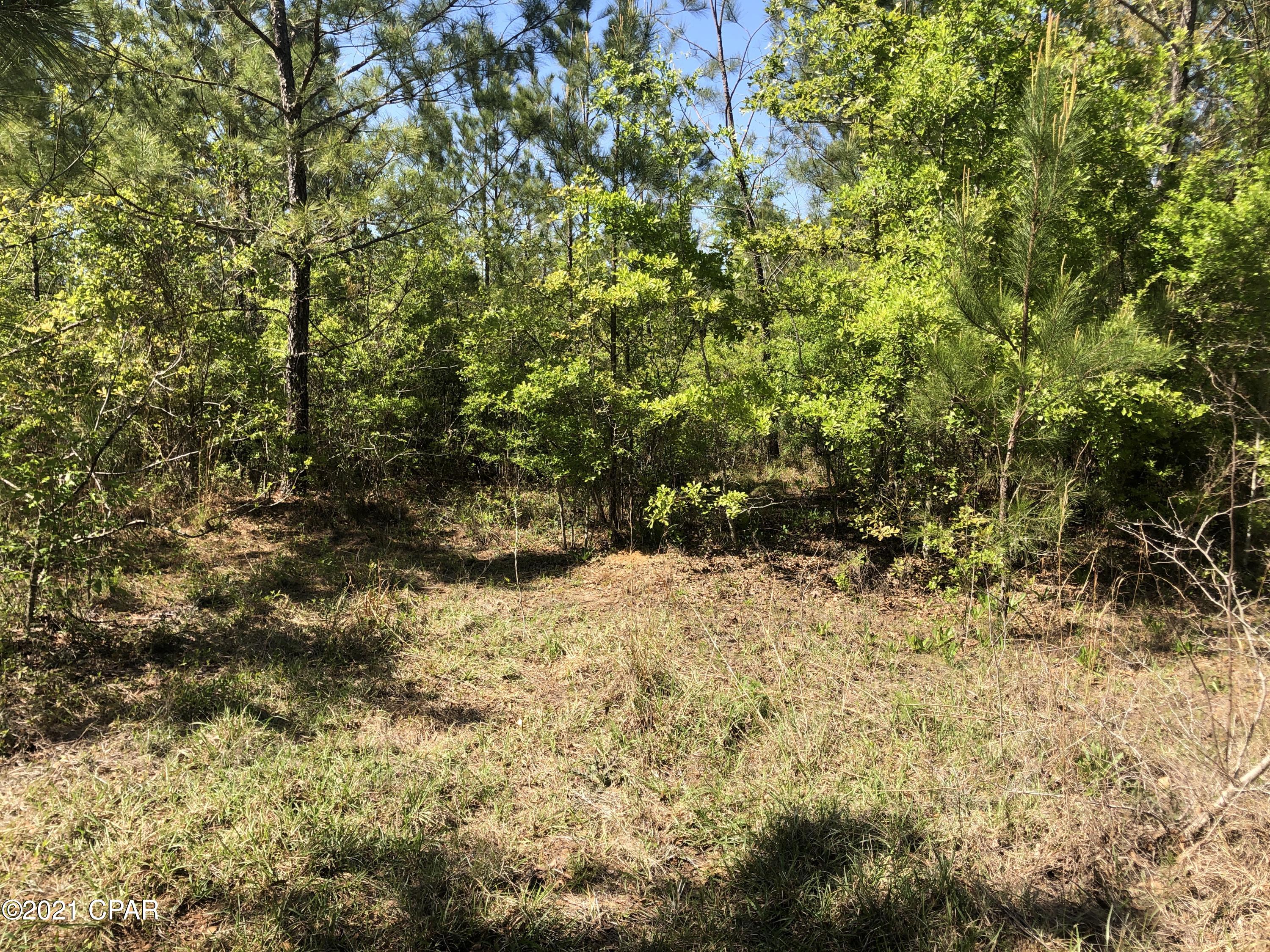 0 Mill Road Cottondale, FL 32431 - Photo 7 of 12