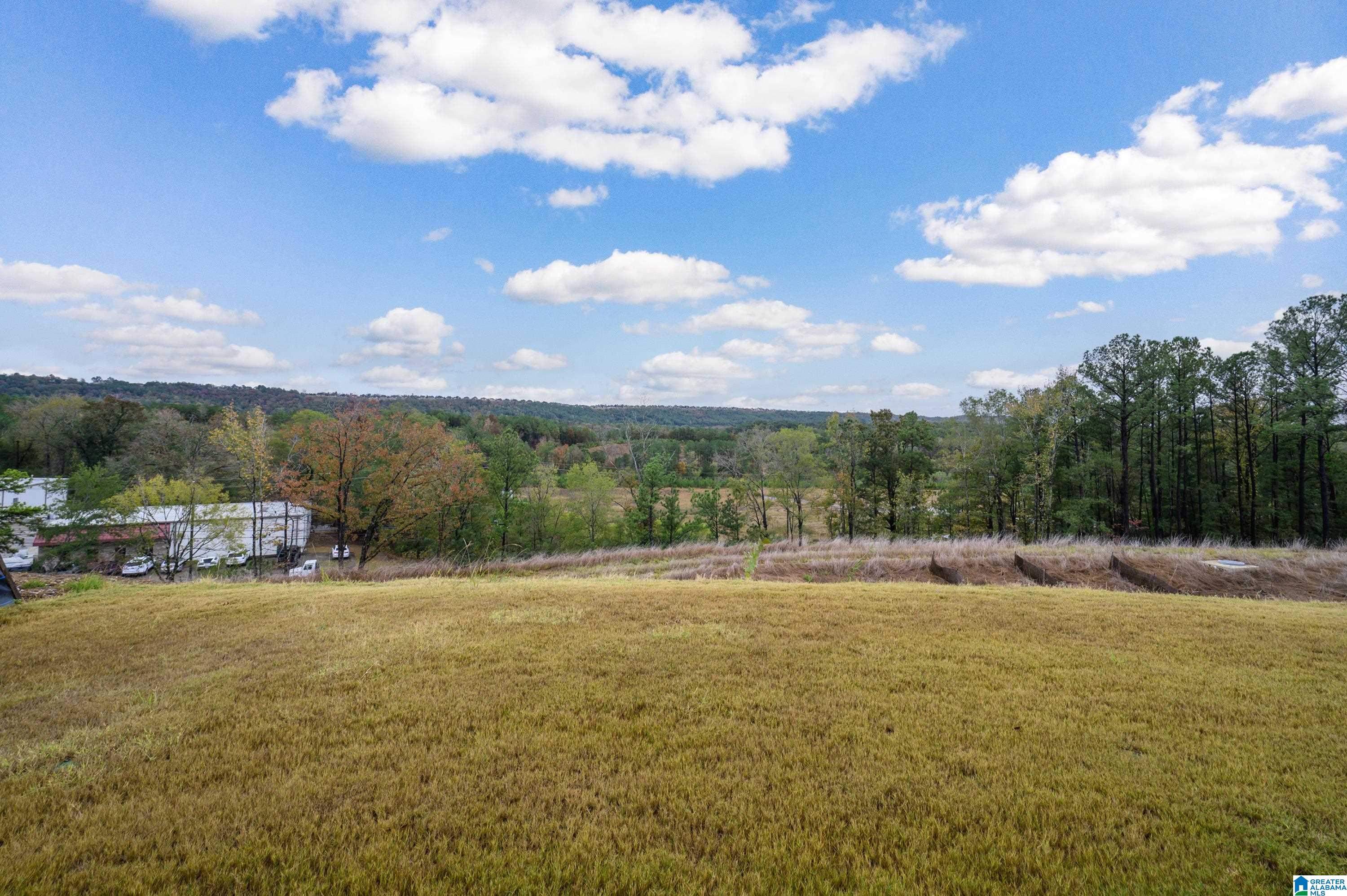 381 Huntley Rdg Bend Pelham, AL 35124 - Photo 48 of 48